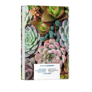 Ατζέντα Ημερήσια Προσωποποιημένη Πίσω